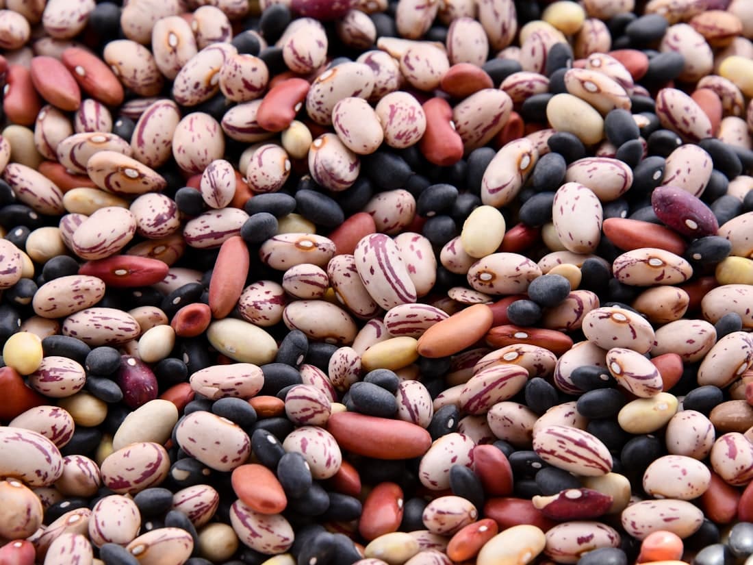 Beans for export