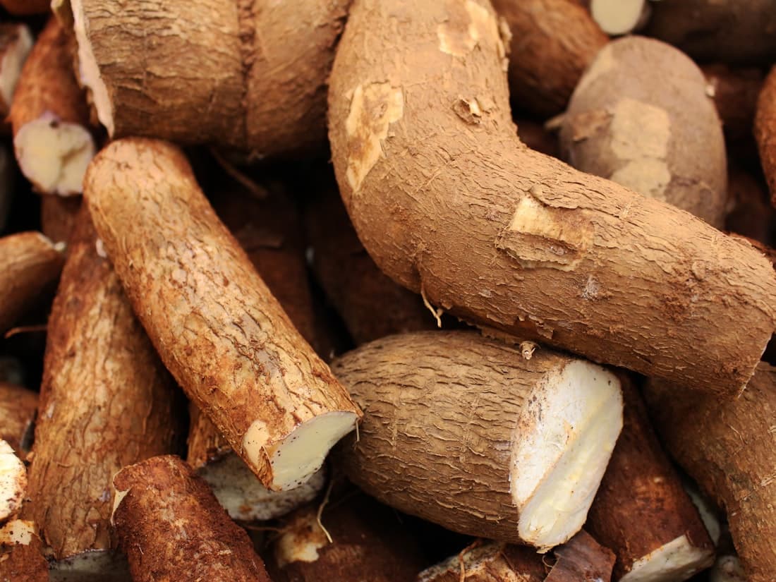 Cassava Starch for export