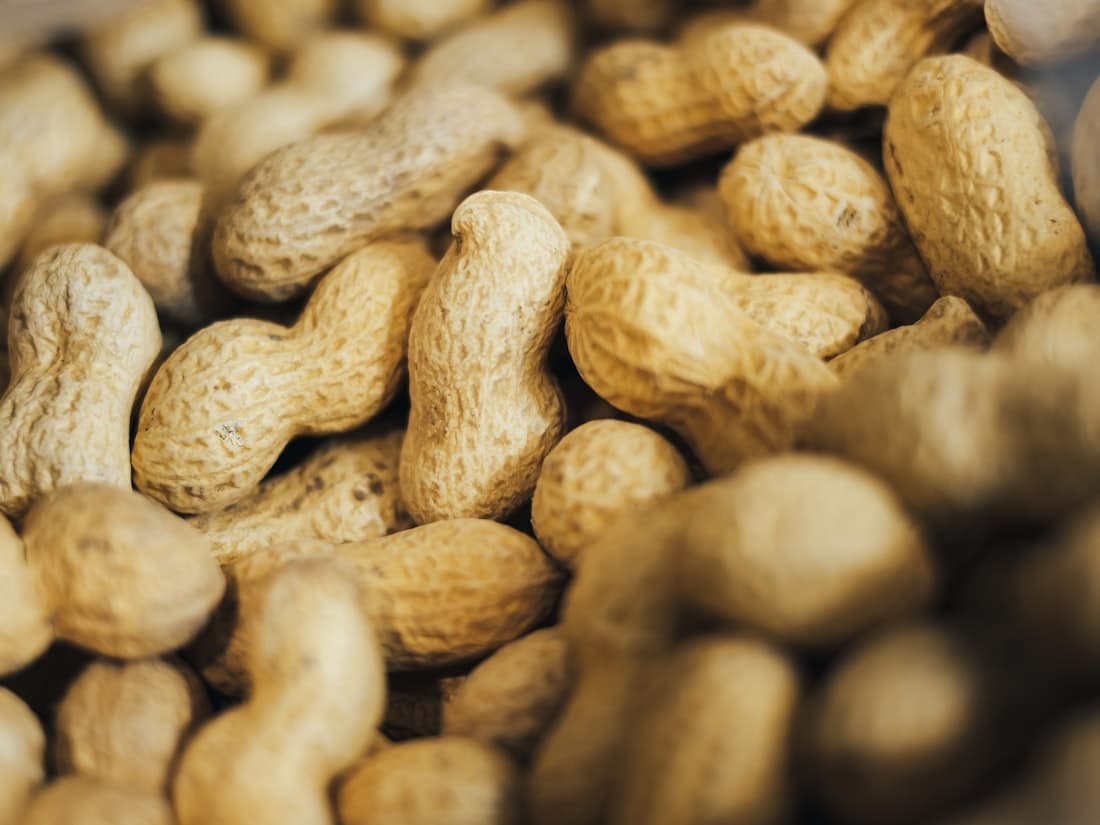 Peanut for export