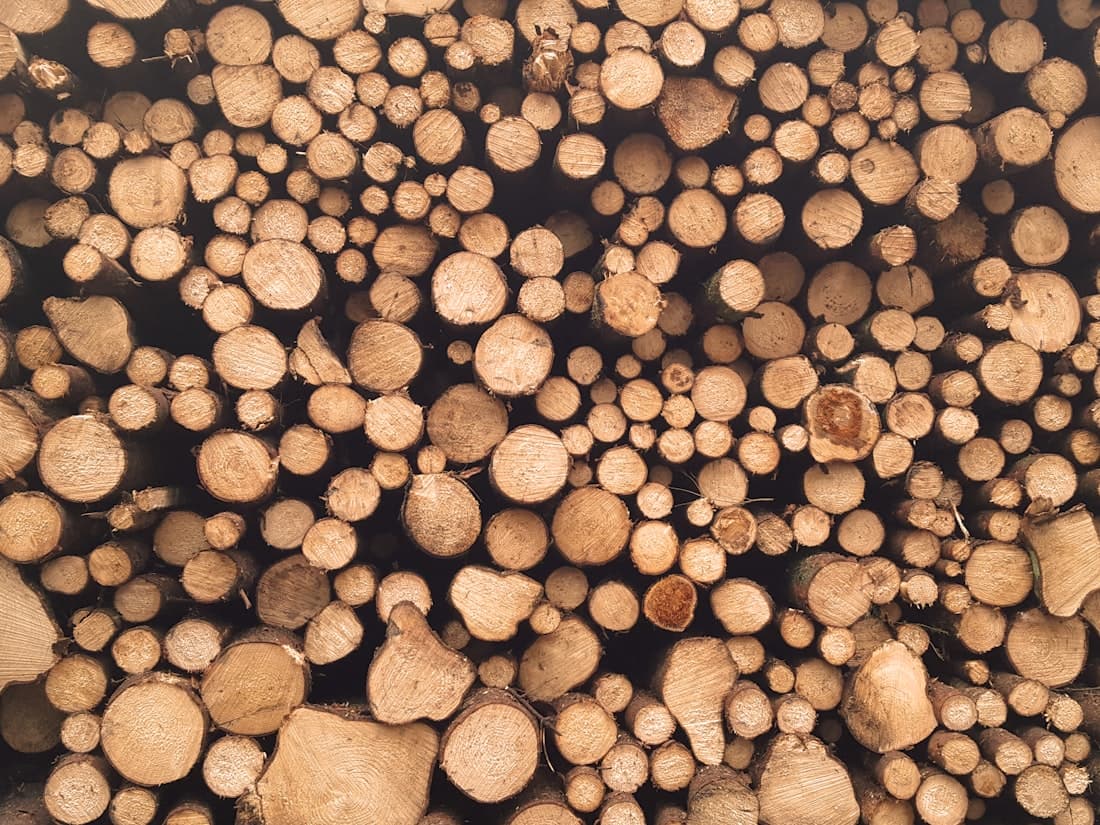 Wood for export